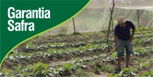garantia_safra2013