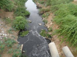 21617941_1274569709321718_4186095573614604103_n