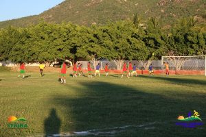 IMG_2530