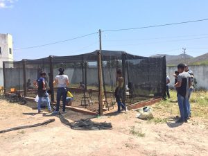 WhatsApp Image 2018-09-05 at 16.26.48