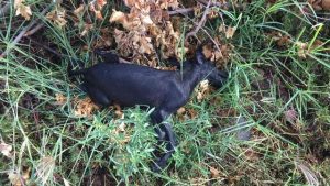 WhatsApp Image 2019-05-05 at 09.04.48